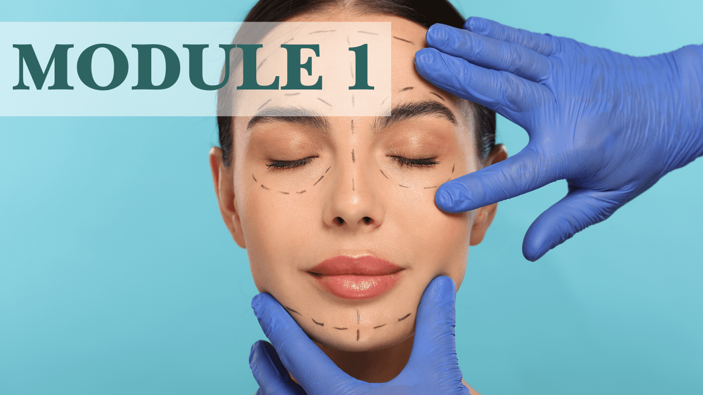 Visage d’une femme avec des repères dessinés pour une chirurgie esthétique, module 1 de la formation médico-esthétique